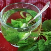 Lemon Balm Tea