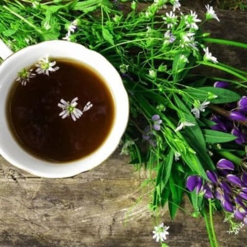 Passionflower Tea